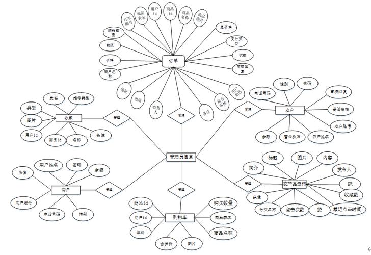 4系统功能的设计与实现